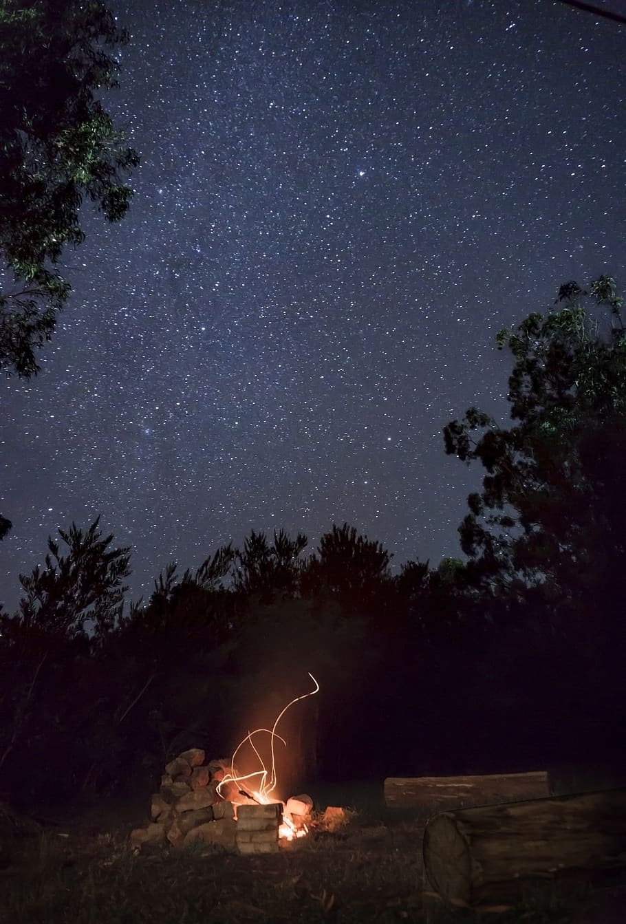 fire between trees, nature, outdoors, night, starry sky, outer space HD wallpaper