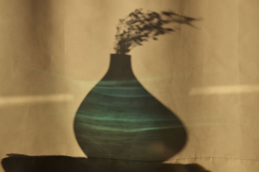 reflection, still life, flower, deformation, nature morte, vase HD wallpaper