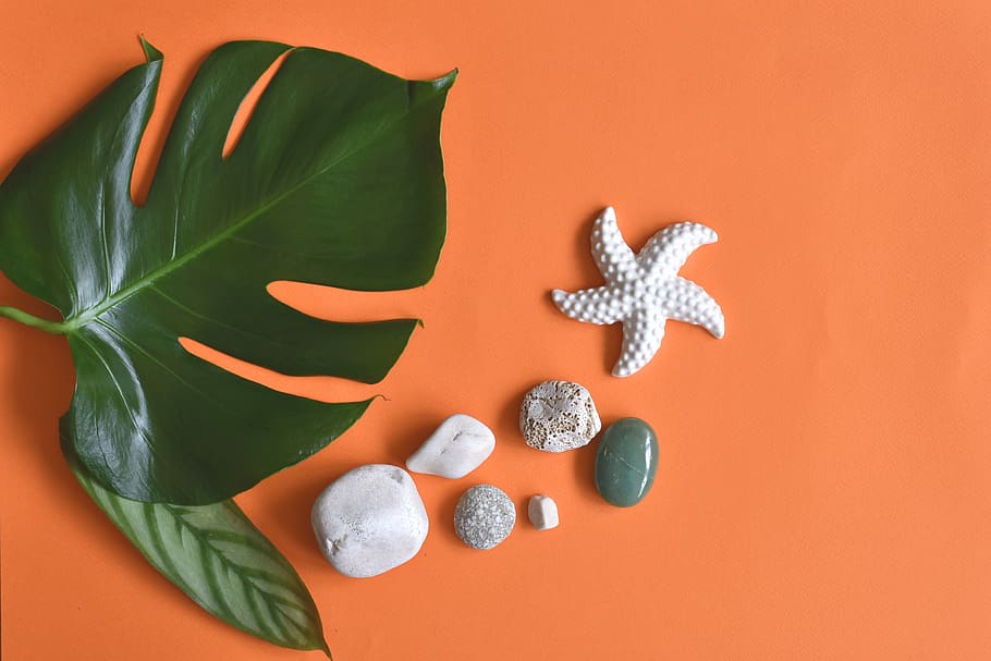 summer, pebbles, starfish, leaf, decoration, flat lay, flatlay HD wallpaper