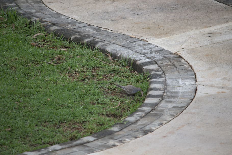 mauritius, grass, plant, day, footpath, no people, architecture HD wallpaper