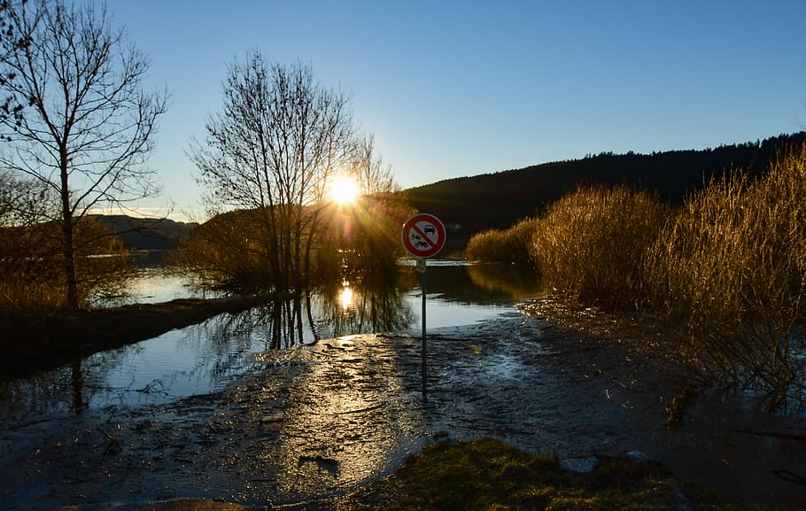 sunset, river, trees, flood, water, reflection, flooded, light HD wallpaper
