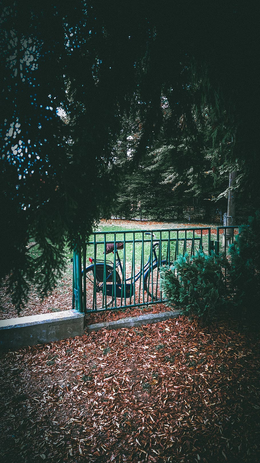 croatia, tree, plant, bench, seat, nature, park, plant part HD wallpaper