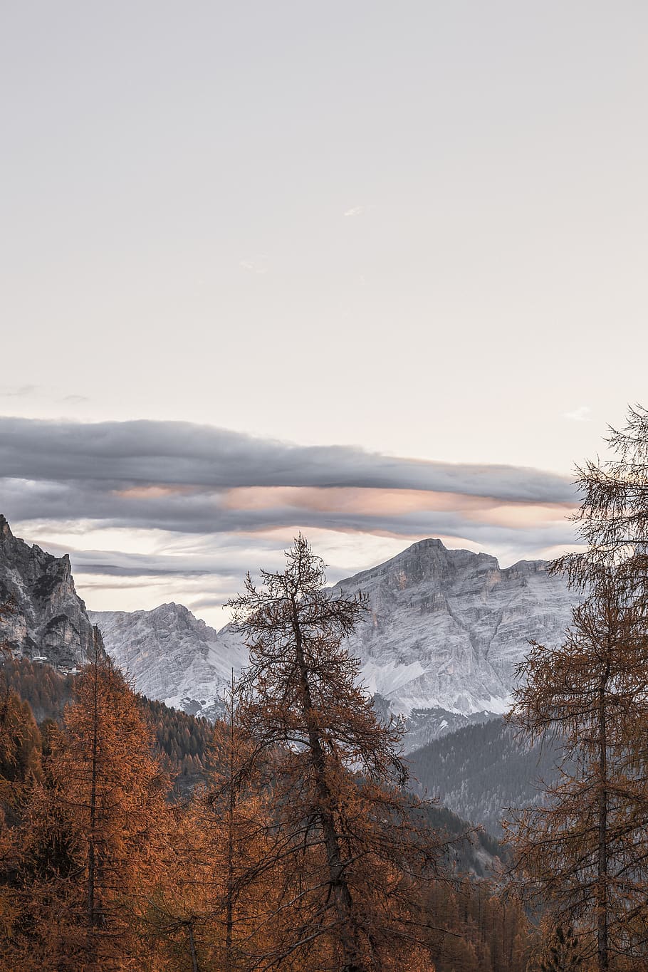 green-leafed trees near mountain during daytime, sky, scenics - nature HD wallpaper