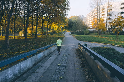 Runner at autumn, active, activity, adult, alone, athlete, clothing HD wallpaper