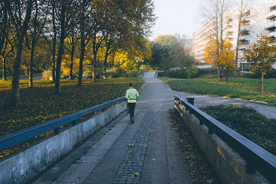 Runner at autumn, active, activity, adult, alone, athlete, clothing HD wallpaper