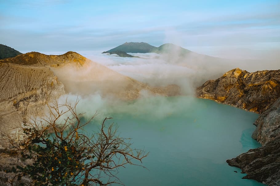leafless tree on lake at daytime, water, nature, hike, outdoors HD wallpaper