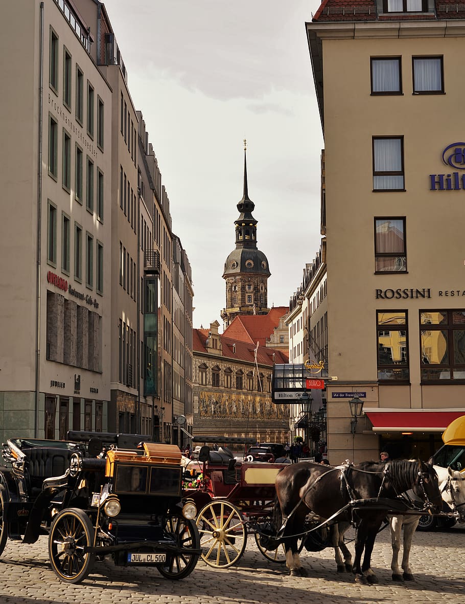 wheel-machine-transportation-horse-cart.jpg