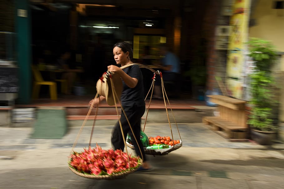 woman carrying stick basket, human, person, plant, flower, blossom