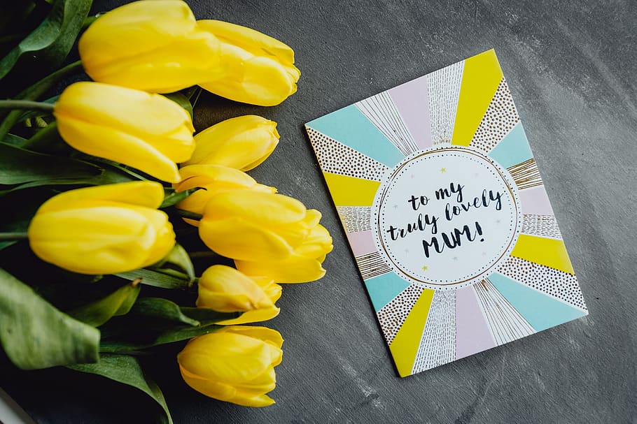 Mother`s Day card with colorful tulip flowers, love, greeting card