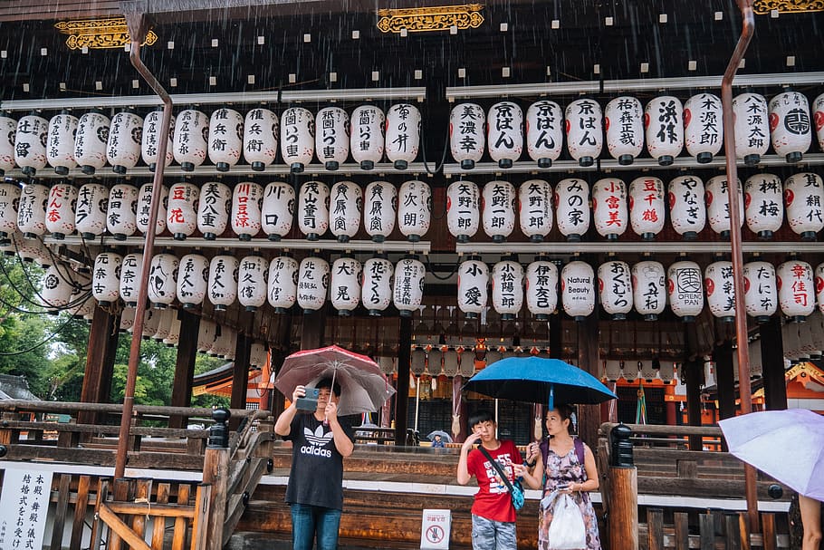 japan, kyoto, asia, buddism, tokyo, umbrella, holy, shrine, HD wallpaper