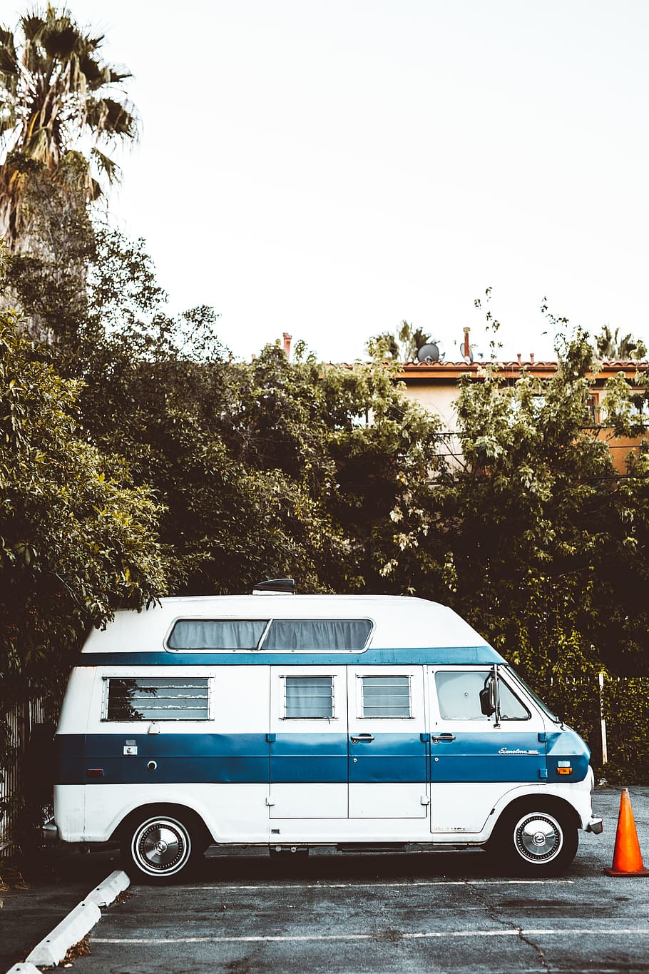 white and blue van parked, mode of transportation, tree, land vehicle HD wallpaper