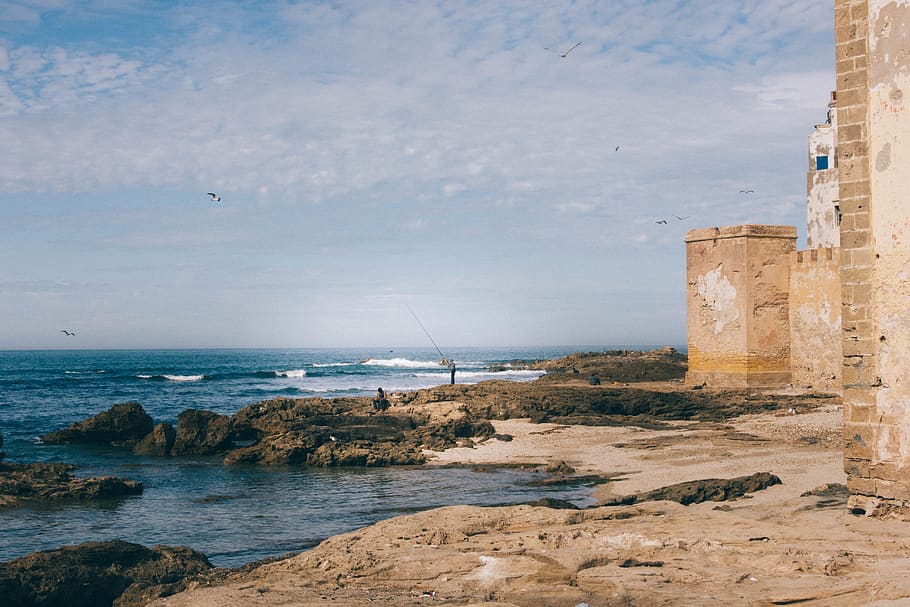 castle surrounded by sea, building, bunker, architecture, animal HD wallpaper