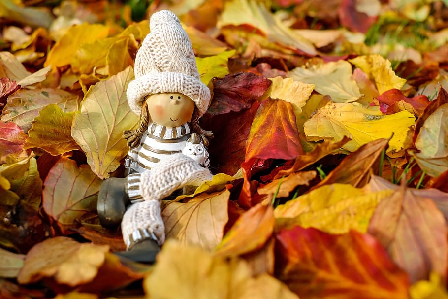 Close-up of Cross on Autumn Leaves, beautiful, blur, bright, doll HD wallpaper