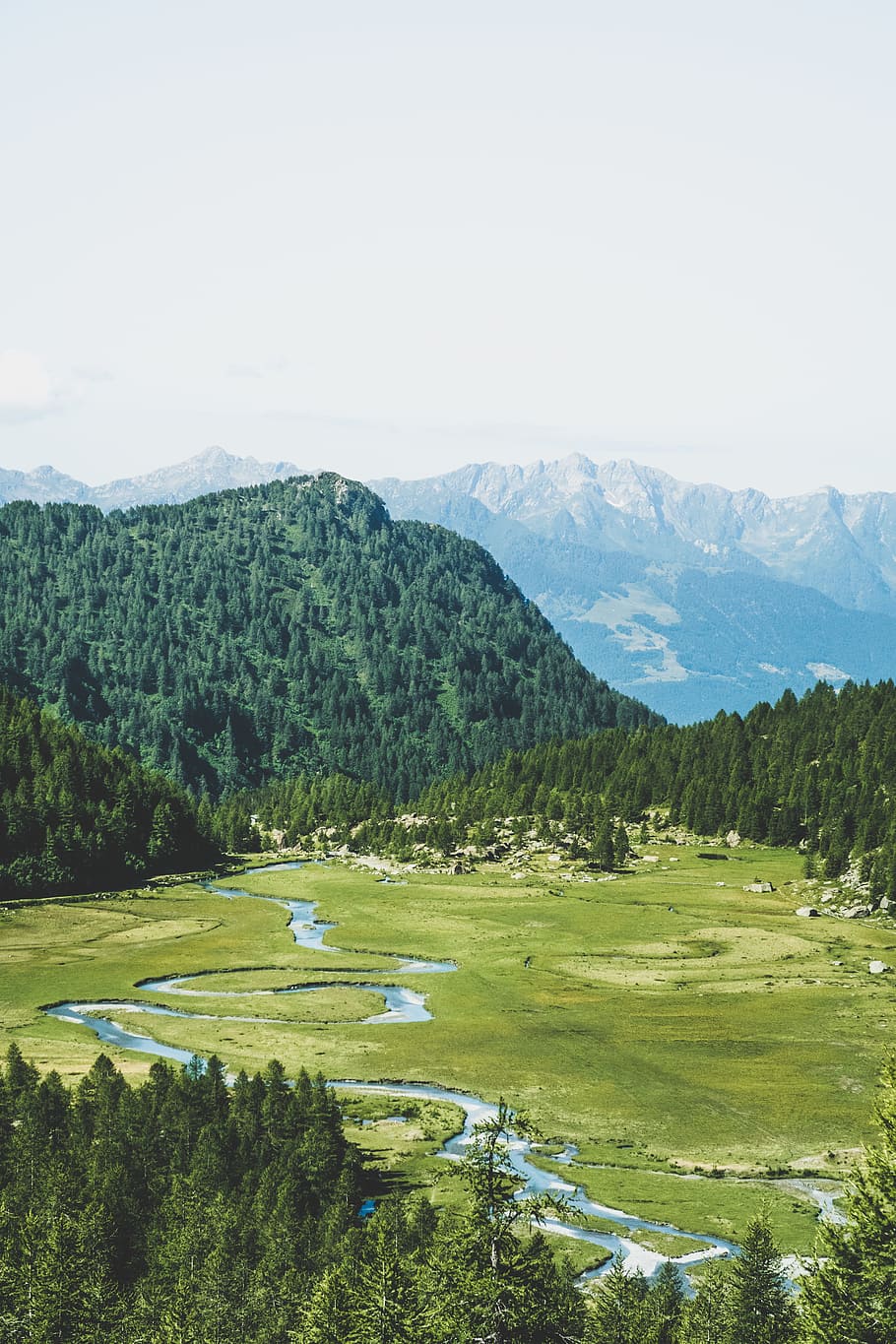 aerial view of river and grassland, mountain, field, meadow, tree HD wallpaper