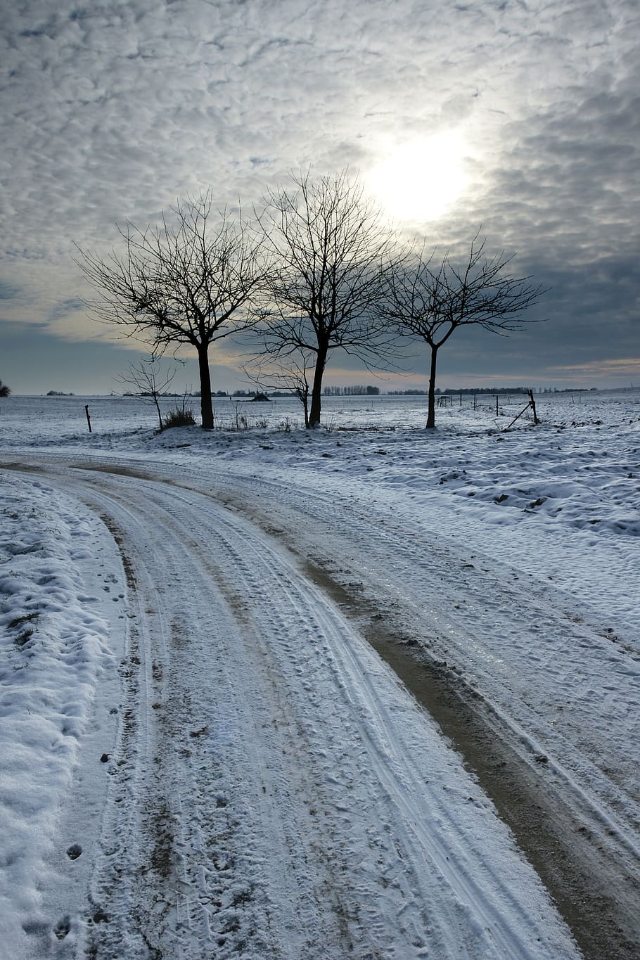 winter, frost, cold, snow, frozen, snow-white, tree, road, snow covered HD wallpaper