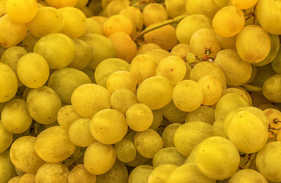 grape, fruit, autumn, grapes, healthy, food, sweet, fruits HD wallpaper