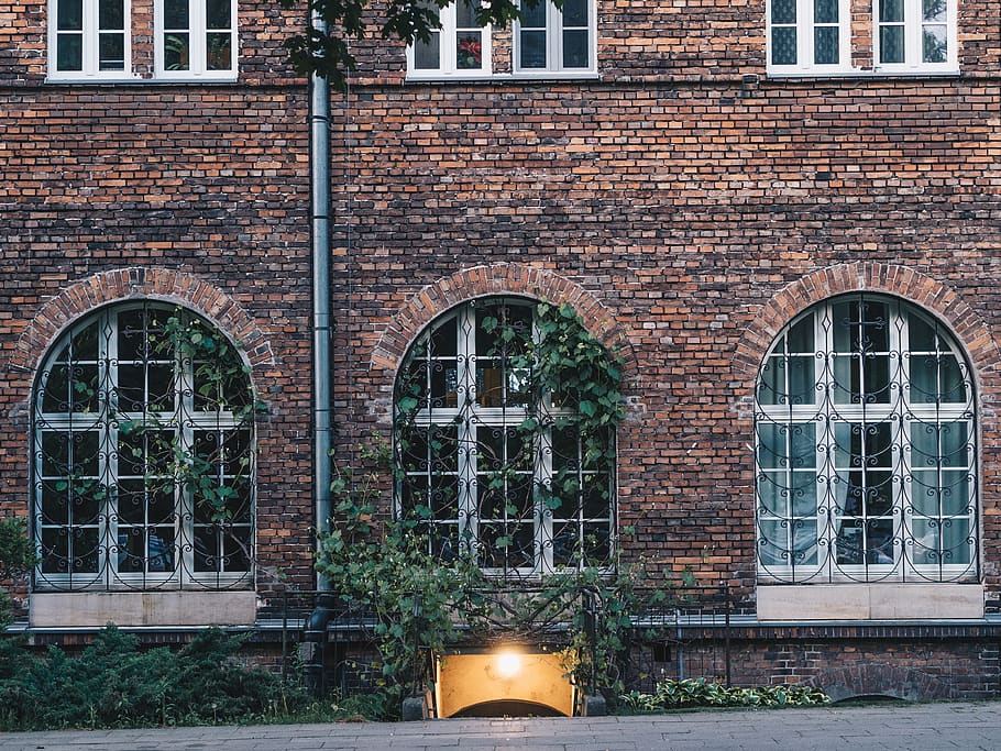wall, building, nature, leaf, green, red, window, mystery, church HD wallpaper