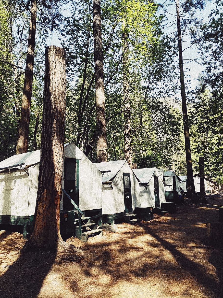 white cabin on forest, camping, leisure activities, tent, tree HD wallpaper