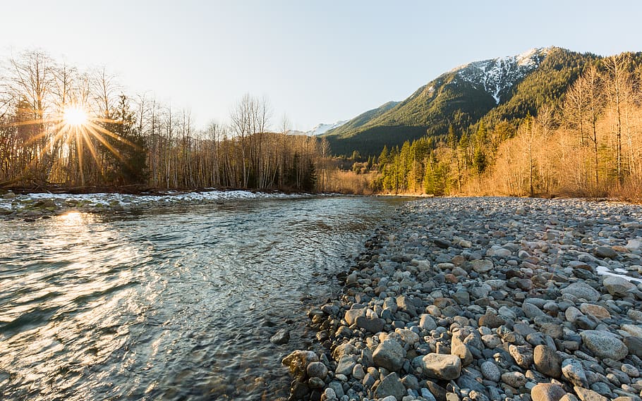river near pine tree forest, water, sky, mountain, nature, beauty in nature HD wallpaper