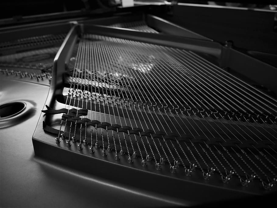 Close up of a Musical Instrument, Analogue, audio, bass, black-and-white