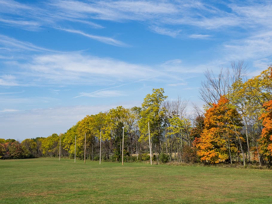 landscape, field, trees, leaves, blue sky, green, orange, red HD wallpaper