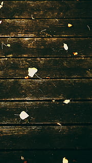 wallpapers, madera, black, no people, wood - material, beauty in nature HD wallpaper