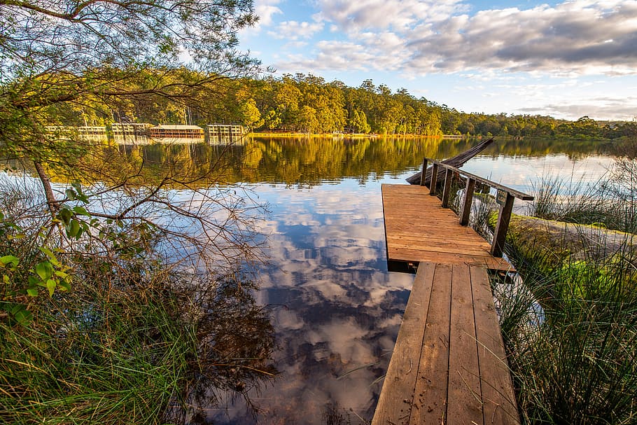 lake, pier, landscape, water, plant, tree, tranquility, wood - material HD wallpaper