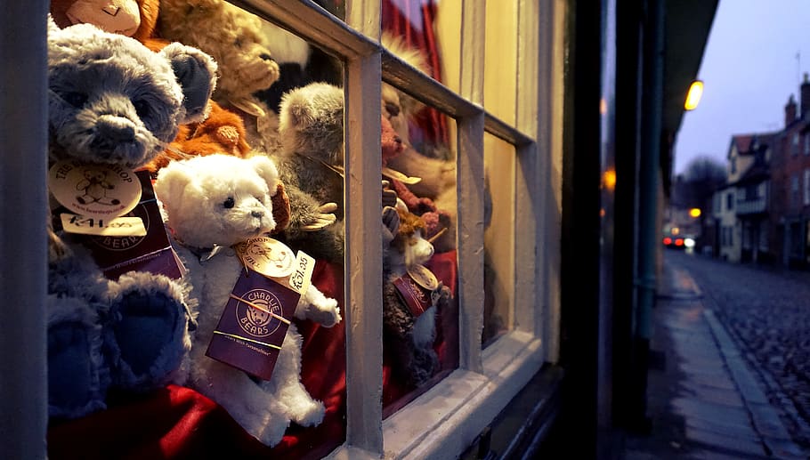 Assorted Color Bear Plush Toys Near Glass Window, bears, commerce HD wallpaper