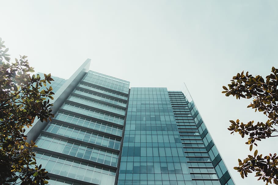 building, minimal, architect, architecture, blue, tree, trees HD wallpaper