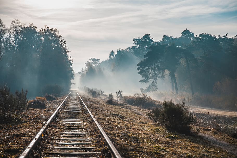 railway in between trees, rail transportation, track, railroad track HD wallpaper