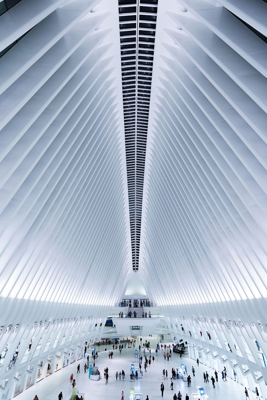 people inside white structure, united states, new york, the oculus HD wallpaper