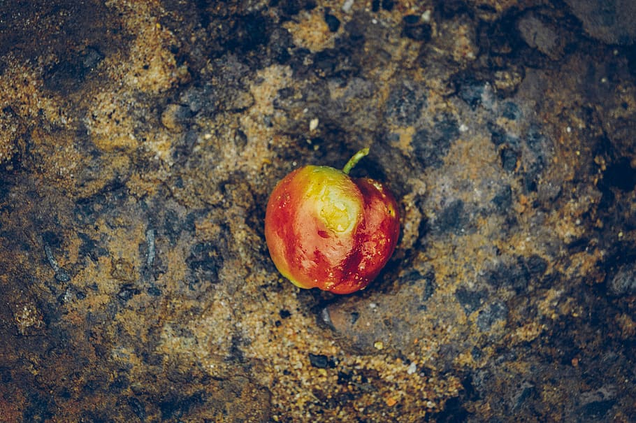 fruit, little, macro, concrete, asfalt, red, still, still life HD wallpaper