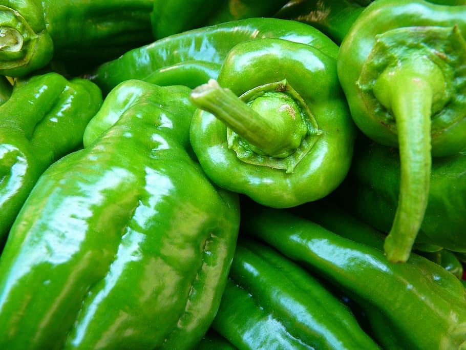Green Bell Pepper, close-up, food, vegetables, food and drink HD wallpaper