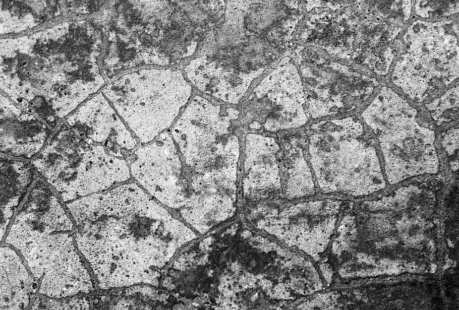 Cracked Concrete Texture, cracks, broken, pieces, background, HD wallpaper