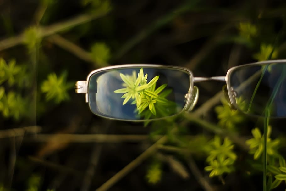 grass, green, fresh, eye, glasses, plant, green color, leaf HD wallpaper