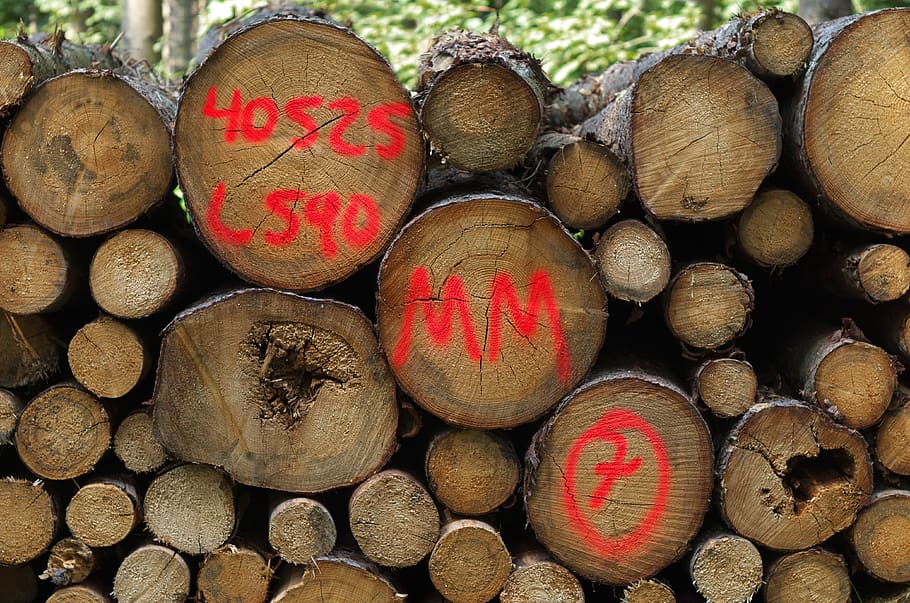 wood, forest, log, timber, stack, firewood, large group of objects HD wallpaper