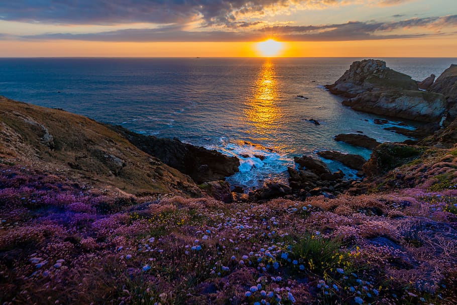 sunset, sea, shore, rocks, flowers, beauty in nature, water HD wallpaper