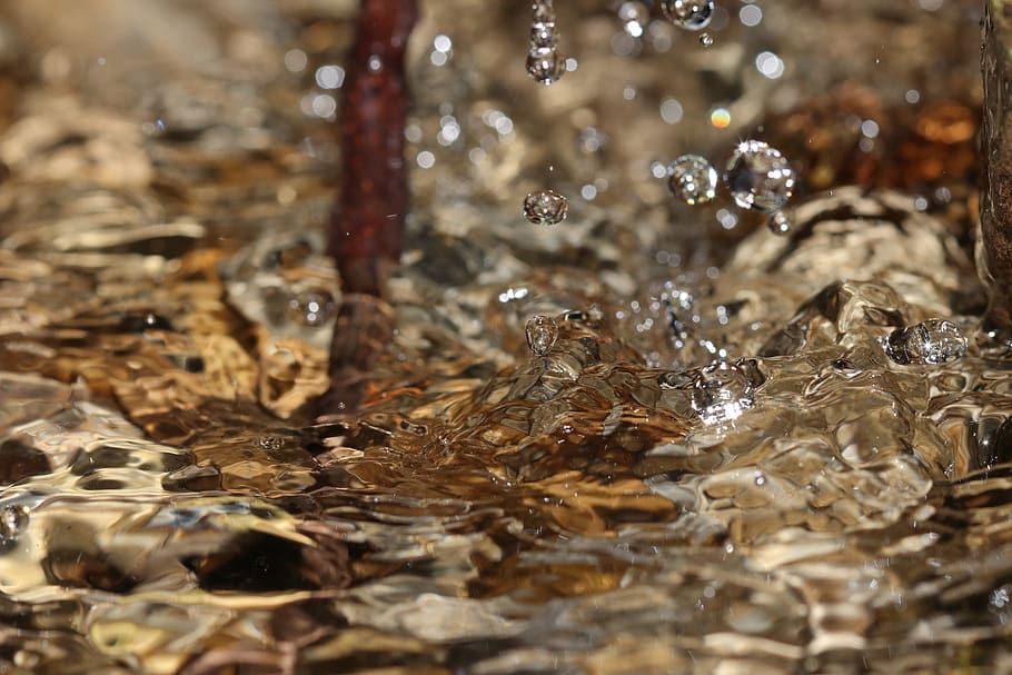 water, drip, wet, liquid, branch, stones, wave, fresh, sparkling HD wallpaper