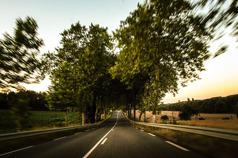 Selective Focus Photography of Road and Trees, driving, hurry HD wallpaper