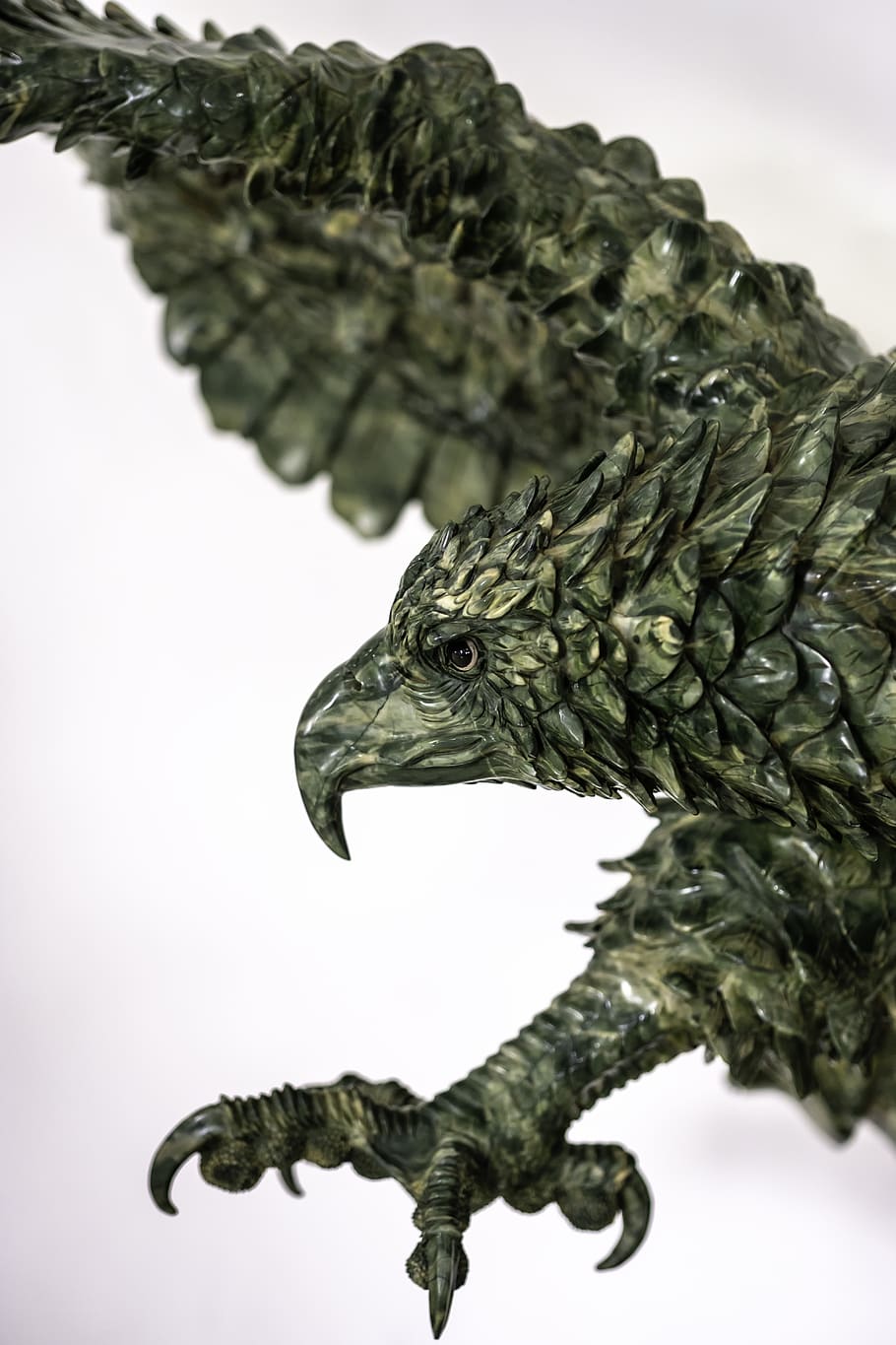 eagle, head, bird, animal, beak, plumage, portrait, look, predator HD wallpaper