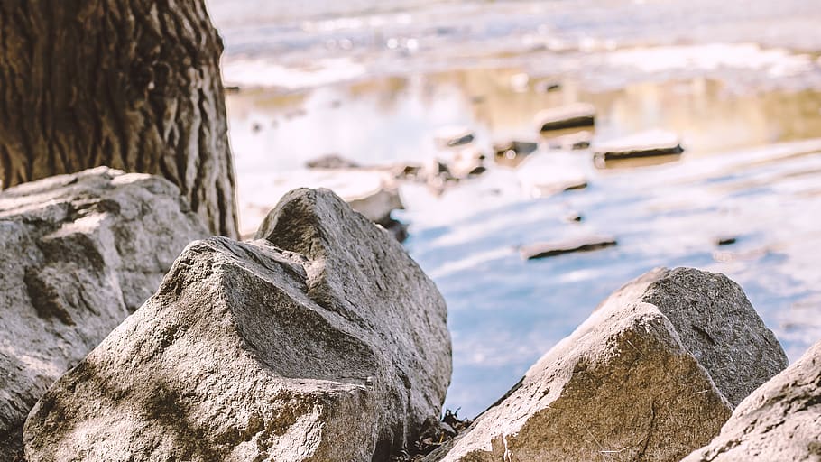 rock, river, nature, tree, landscape, summer, fall, autumn, HD wallpaper