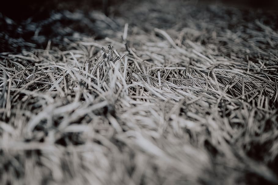 Grey rug texture closeup, carpet, selective focus, close-up, no people HD wallpaper