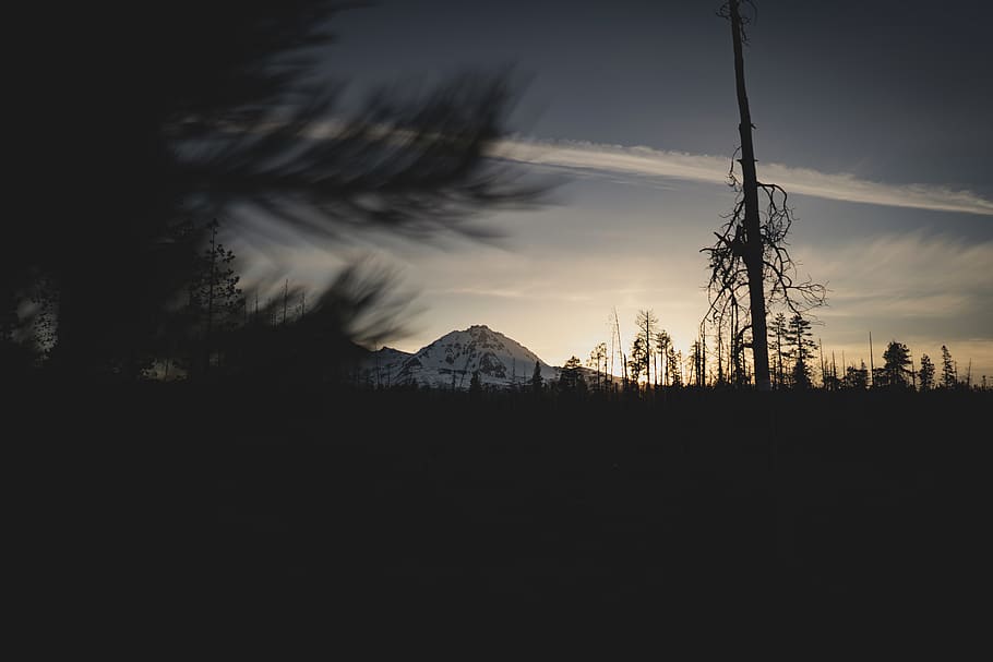 sunset can be seen through tree leaves, sisters, sky, mountain HD wallpaper
