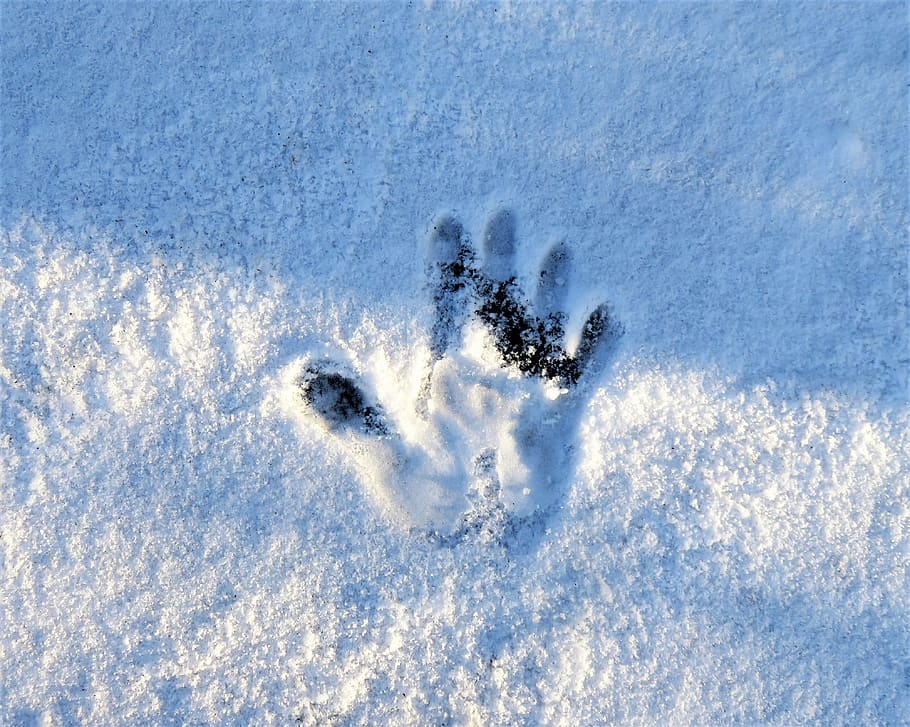 winter, snow, trace, reprint, handprint, finger, fresh snow HD wallpaper