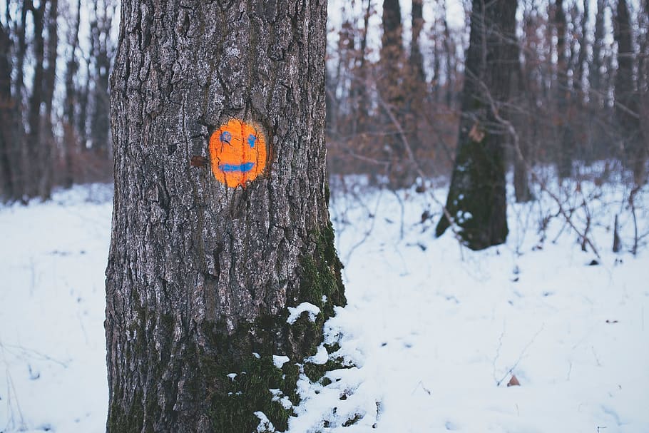 trees, orange, face, drawing, snow, forest, woods, smile, tree trunk HD wallpaper