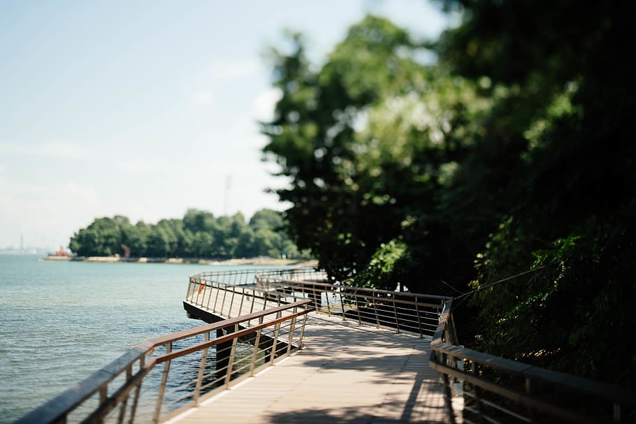 tree, plant, nature, water, railing, sky, no people, day, tranquility, HD wallpaper