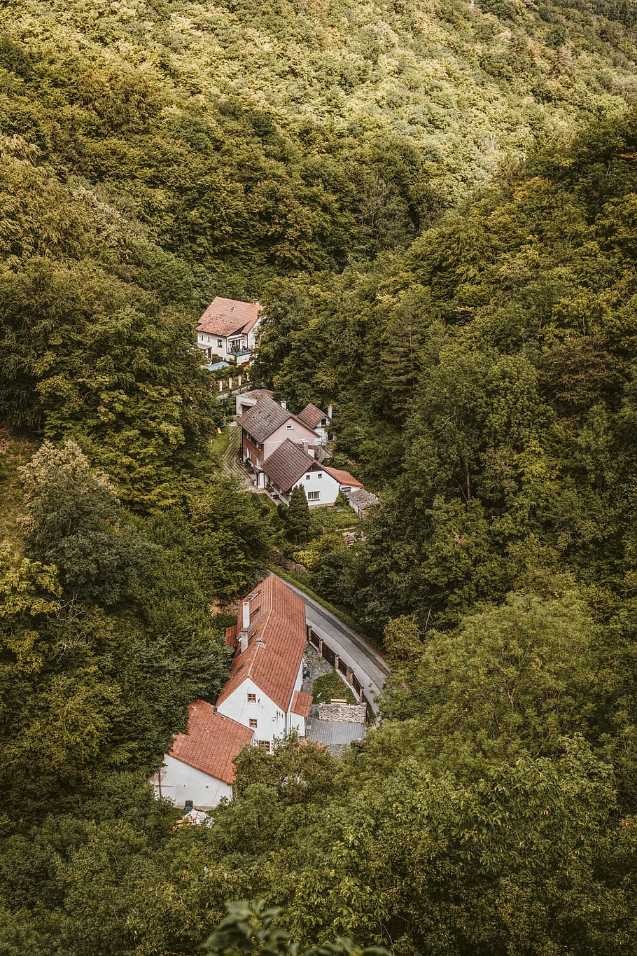 aerial view of house on forest, building, road, tree, green, beautiful HD wallpaper