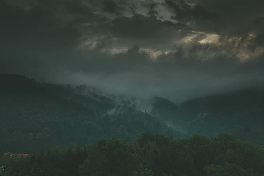 green mountains under gray clouds, austria, peggau, mist, fog HD wallpaper