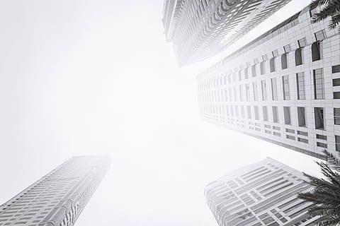 Bottom view of modern skyscraper. Business district in black & white HD wallpaper