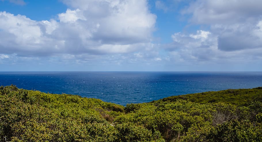 photography of blue ocean under sky, tree, water, cloud, sea HD wallpaper